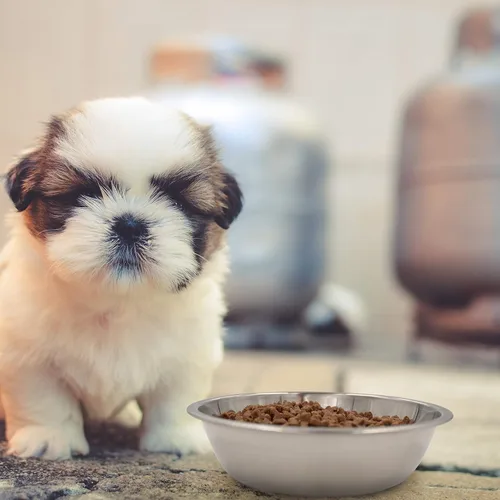 Vista 6 de Cuencos de acero inoxidable para perros y gatos, paquete de 4