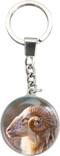 Vista 19 de Deluxebase Magnidome Llavero de domo en forma de cúpula con cadena de acero inoxidable. Llavero de cúpula de cristal