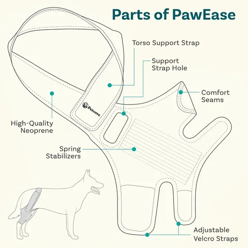 Vista 2 de Rodillera de perro para pierna trasera de acl desgarrado, soporte para piernas de perro para pierna trasera, tamaño grande, soporte para acl