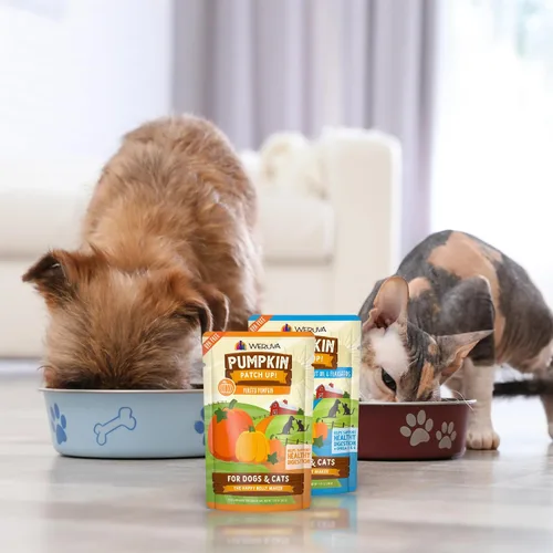 Vista 9 de Weruva ¡Parche de calabaza! Bolsas de calabaza para perros y gatos