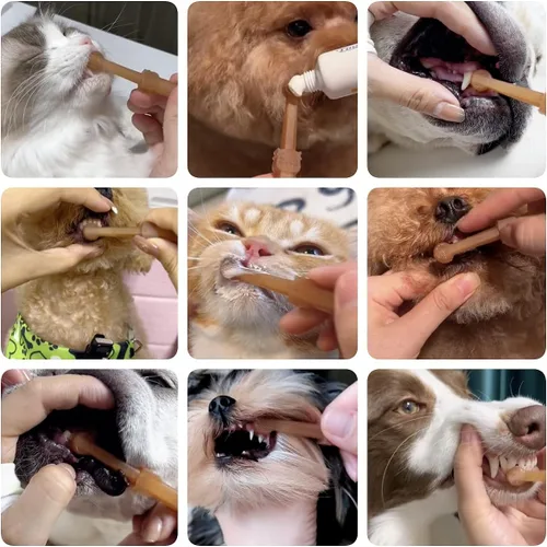Vista 2 de Kit de cepillo de dientes para perros y gatos con taza de almacenamiento