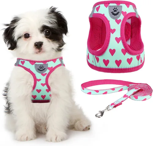 Vista 32 de Arnés de malla suave para cachorros – Juego de arnés y correa para perros pequeños, ajustable y cómodo chaleco reflectante acolchado para cachorros