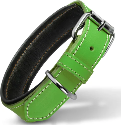 Vista 32 de Filbert Collar de cuero para perro, collar de cuero genuino para perros pequeños, acolchado de lujo, fuerte, ajustable para todas las razas, hebilla