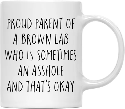 Vista 38 de Andaz Press Funny Dog - Taza de café de 11 onzas, regalo de broma, orgulloso padre de un afenpinscher que es a veces un gilipollas y eso está bien