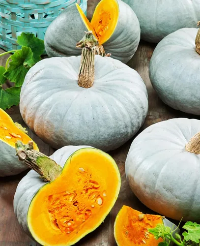 Vista 4 de Más de 10 semillas de verduras de calabaza para plantar al aire libre reliquia sin OMG