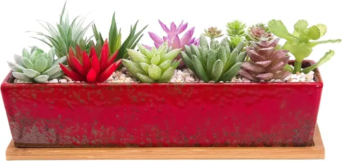 Vista 8 de ARTKETTY Macetas de suculentas - Macetas grandes para suculentas con drenaje, maceta de bonsái rectangular larga de 12 pulgadas con bandeja