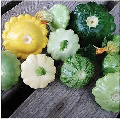 Vista 2 de Semillas de calabaza dulce de albóndigas - Aproximadamente 30 semillas