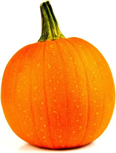 Vista 4 de Pastel de calabaza y azúcar (30 semillas)