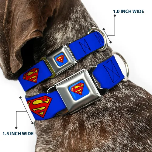 Vista 2 de Buckle-Down Collar de perro, hebilla de cinturón de seguridad, escudo