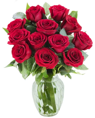 Vista 39 de KaBloom - Rosas arcoíris (media docena)- Flores frescas para cumpleaños, San Valentín y Día de la Madre