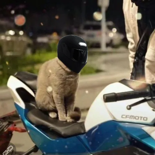 Vista 4 de Casco de motocicleta para mascotas para gato/perro, cara completa, al aire libre, negro