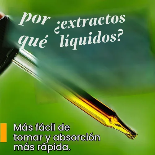 Vista 3 de Herb Pharm Gotas de extracto líquido Hawthorn Blend para apoyo cardiovascular y circulatorio, 1 onza