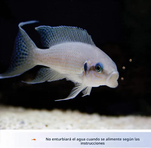 Vista 4 de Aqueon Alimento para pescado cíclidos, mejora del color, 4.5 onzas
