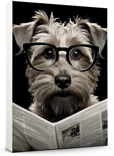 Vista 188 de Thuan Affenpinscher - Póster de lienzo con tus fotos, arte de pared para decoración del hogar, regalo conmemorativo para amantes de las mascotas