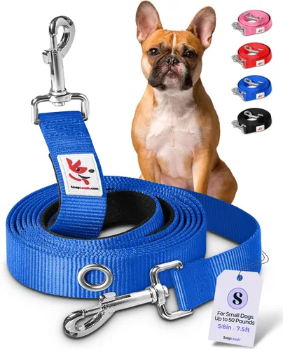 Vista 8 de Correa de perro manos libres para entrenamiento, correr, correa de cintura y hombro para caminar, correa de tráfico, correa doble para mascotas
