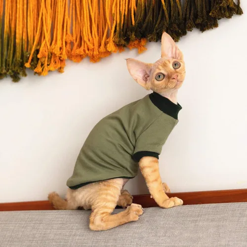 Vista 7 de Ropa para gatos sin pelo, camisa de algodón transpirable, para primavera, verano, otoño, gato, ropa para esfinge, Cornish Rex, Devon Rex, Peterbald