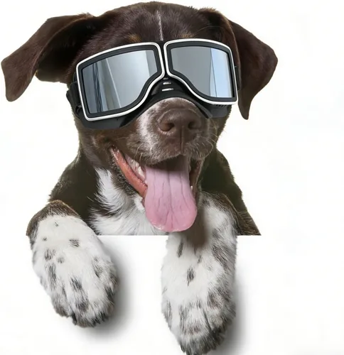 Vista 13 de Gafas grandes para perros con protección para ojos de mascotas para razas medianas a grandes, resistentes al viento, a prueba de nieve, a prueba