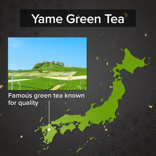 Vista 5 de [Granja Onkatsu] Serie Yame Matcha - Grado premium y ceremonial - Té japonés hecho en Japón - Etiqueta inglesa (grado ceremonial de Yame)