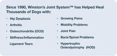 Vista 3 de Winston Joint System - para perros medianos de 40 a 99 libras - Suplemento alimenticio integral 100% natural para artritis, displasia de cadera