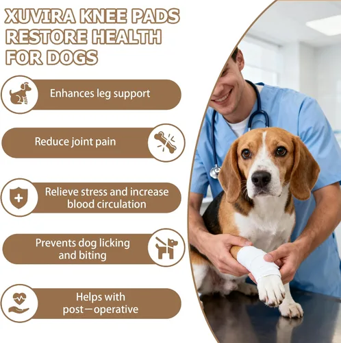 Vista 3 de Rodillera para perro para pierna trasera desgarrada del ACL, para Negro