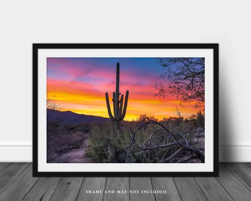 Vista 3 de Southwestern Photography Print (Not Framed) Picture of Saguaro Cactus at Sunrise in Sonoran Desert near Tucson Arizona Western Wall Art Nature Decor