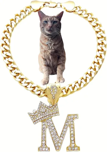 Vista 16 de Collar de cadena con letra inicial cubana para perro, collar de cadena para mascotas, gato, collar para cachorro (S, 25 cm)
