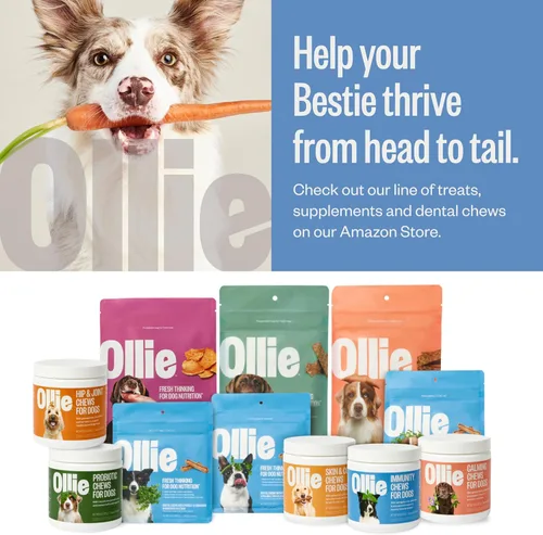 Vista 7 de Ollie Masticables dentales para perros extra pequeños, 12 onzas, aliento fresco, golosinas de limpieza de dientes, palos para el cuidado bucal
