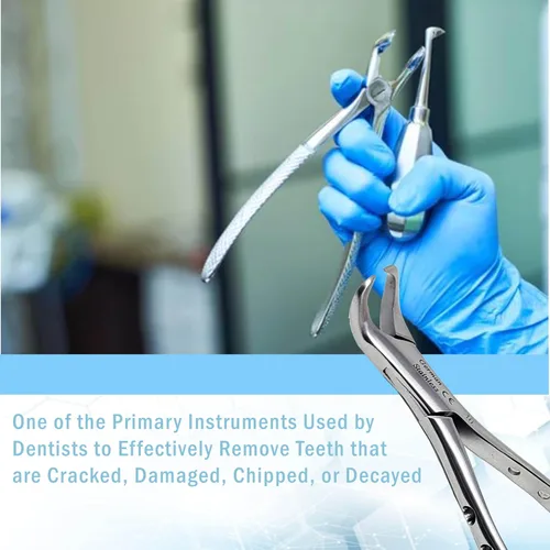 Vista 6 de Pinzas universales de extracción dental alemana, para extraer molares inferiores del hueso alveolar, mandíbulas dentadas, hechas de acero inoxidable