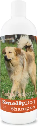 Vista 183 de Healthy Breeds Affenpinscher - Champú de bicarbonato de sodio para perros, 8 onzas