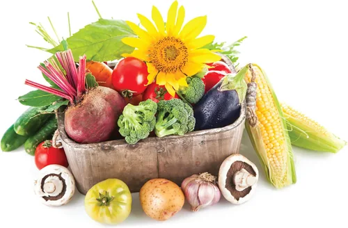 Vista 6 de Jobe's Organics Fertilizante granular multiusos, fertilizante de fácil cuidado de plantas para verduras, flores, arbustos, árboles y plantas, bolsa