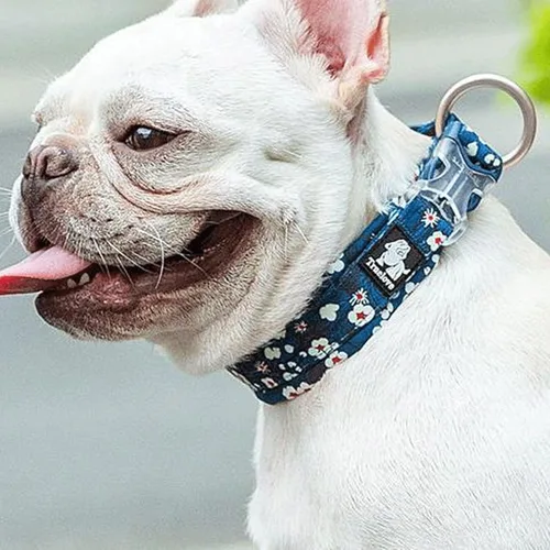 Vista 2 de TARVIT Basic Pet Collars Collar Personalizado para Perros Grandes, Accesorios para Cachorros