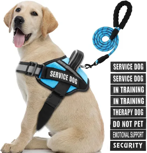 Vista 26 de Juego de Chaleco y Correa para Perro de Servicio, Arnés de Entrenamiento Animire para Perro con 10 Parches para Perros, Correa Reflectante