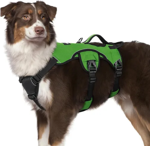 Vista 31 de rabbitgoo - Arnés para perros a prueba de fugas, arnés para mascotas acolchado y suave de cuerpo completo, arnés reflectante ajustable sin tirones