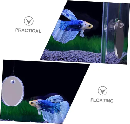 Vista 9 de Yardwe 1 juego de espejo de entrenamiento Betta Espejo de tanque de peces Betta Espejo de tanque Betta juguete decoraciones de pecera Betta Fish Toy