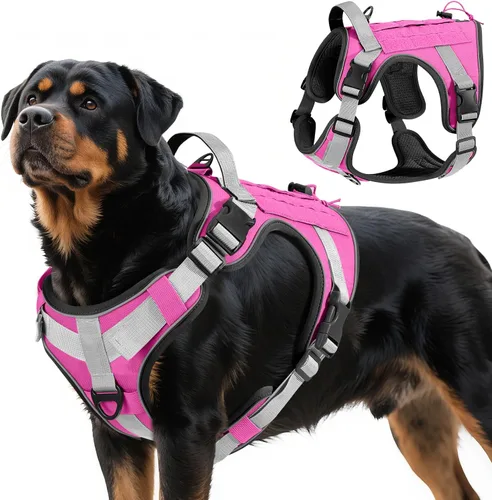 Vista 24 de VavoPaw cinturón de seguridad para perro, arnés de coche con hebilla ajustable para perro, cinturón de seguridad de nailon para mascotas, resistente