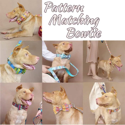 Vista 6 de Collar de perro personalizado con placa de nombre, ajustable resistente nailon personalizable collar de identificación grabado con hebilla de metal