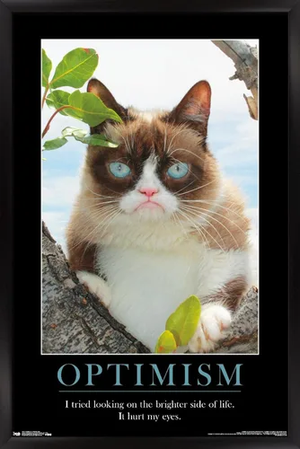 Vista 9 de Trends International Grumpy Cat - El Lado Más Brillante Póster de Pared, 14.725 x 22.375 pulgadas, Versión Enmarcada de Madera de Granero