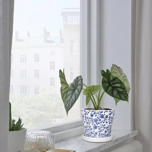 Vista 6 de Juego de 3 macetas decorativas azules y blancas, macetas redondas de cerámica para plantas de interior con orificio de drenaje y platillos, maceta