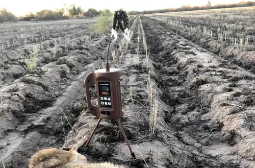 Vista 5 de MOJO Outdoors Señuelo de llamadas electrónicas de triple amenaza, sistema de llamadas completo de 3 partes para la caza exitosa de depredadores