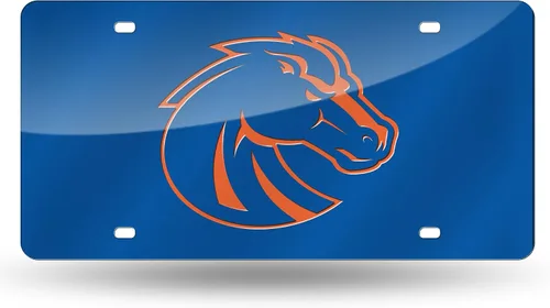 Vista 191 de Rico Industries Placa de matrícula de metal con incrustaciones láser de Florida Gators de la NCAA