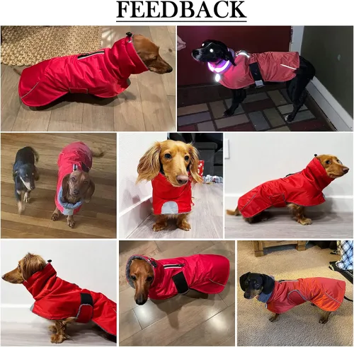 Vista 5 de Abrigos de perro salchicha impermeables, perfectos para perros salchichas, salchichas, abrigo de invierno para perro Weiner con forro polar