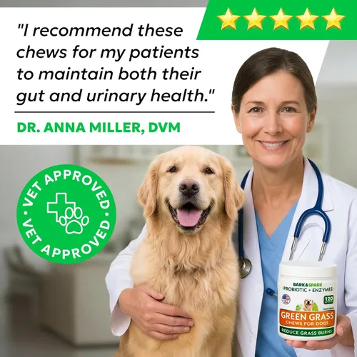 Vista 6 de BARK&SPARK Green Grass - Masticables para perros – Neutralizador de orina y orina para césped, mastica quemaduras de hierba con probióticos y Verde