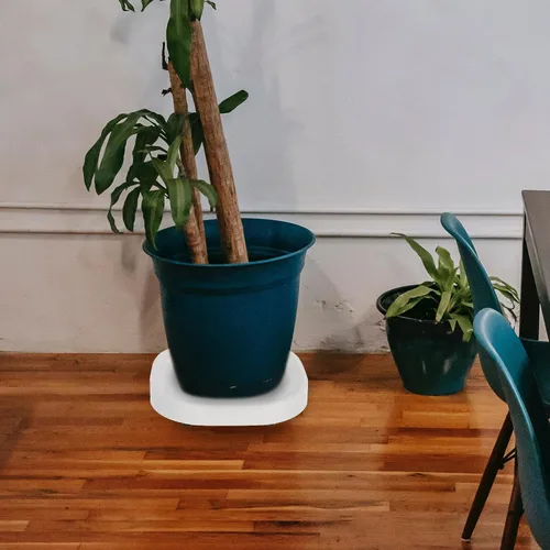 Vista 5 de Plato rodante para maceta con ruedas, soporte de ruedas resistente para plantas en maceta, bandeja de base redonda con ruedas, soporte para macetas