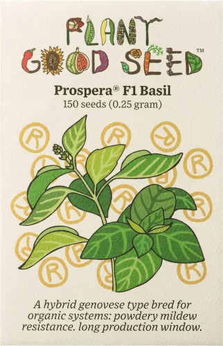 Vista 8 de Plant Good Seed Semillas de albahaca de hojas grandes italianas orgánicas para plantar: hierba culinaria, hojas verdes - Paquete de 200 semillas