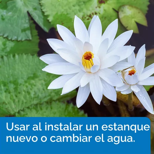 Vista 3 de pondcare cloro y Heavy Metal Neutralizer