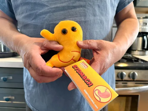 Vista 5 de GIANT MICROBES Felpa de estómago, debe tener bypass gástrico, imprescindible para cirugía bariátrica, regalos de gastroenterología, regalos
