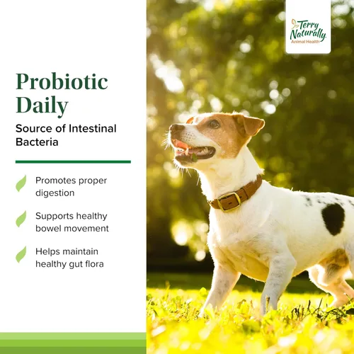 Vista 3 de Terry Naturally Animal Health Probiotic Daily - Digestivo - 60
