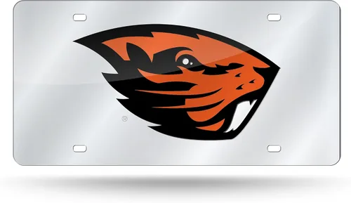 Vista 190 de Rico Industries Placa de matrícula de metal con incrustaciones láser de Florida Gators de la NCAA