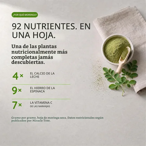 Vista 4 de Superalimento de moringa orgánica en polvo de Miracle Tree