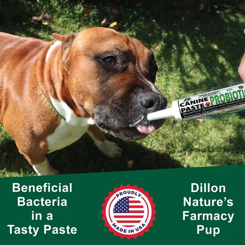 Vista 3 de Dogzymes Pasta probiótica canina Bacterias-Enzimas beneficiosas 2.3 mil millones de UFC/gm Saccharomyces boulardii Miel en Polvo Orgánica Seca